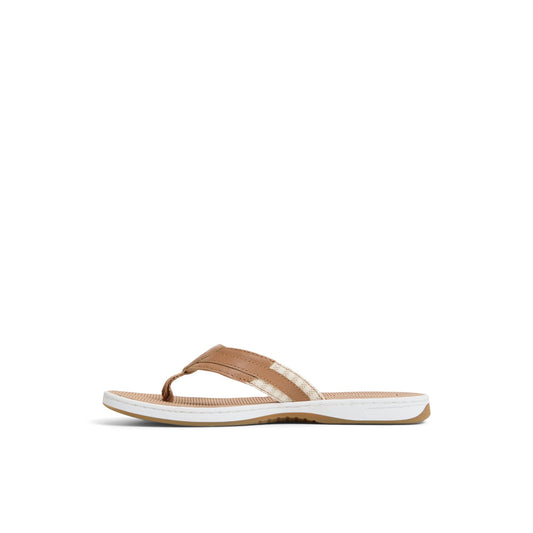 Sperry Seafish 1 Thong Sandal FOOTWEAR image