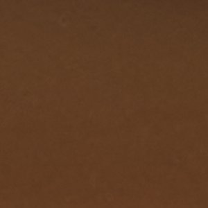 Sperry Saltwater™ 1 Eye Duck Shoe FOOTWEAR image