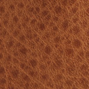 Sperry Saltwater™ Thinsulate™ Duck Lug Boot FOOTWEAR image