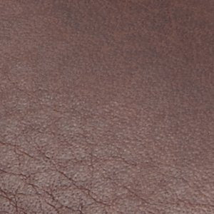 Sperry Fenway Pull-on Chelsea Boots FOOTWEAR image