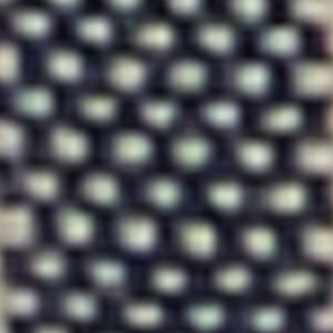 Sperry Daisyfish 1 Eye Boat Shoe FOOTWEAR image