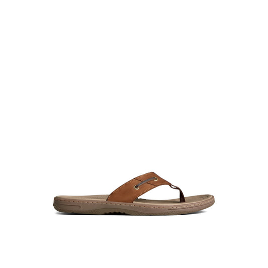 Sperry Baitfish Leather Flip Flop FOOTWEAR image