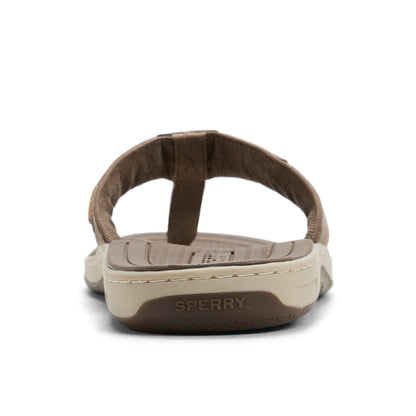 Sperry Baitfish Thong Sandal FOOTWEAR image